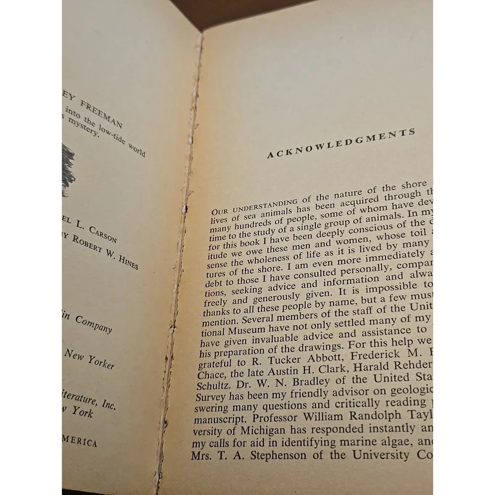 THE EDGE OF‎ THE SEA by RACHEL CARSON, MENTOR BOOK 1st Print 1959